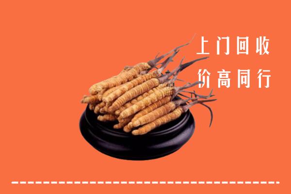 高价求购：南通市崇川区回收散虫草
